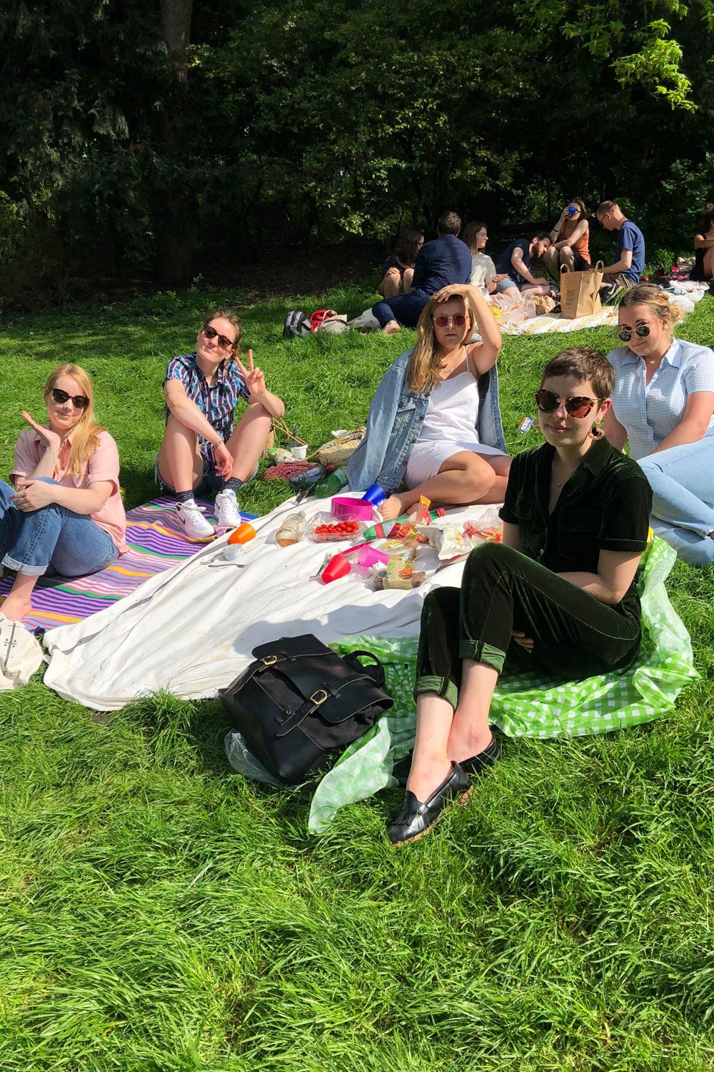 Six students enjoying a picnic in Paris France.