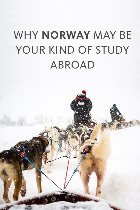 Why Norway may be your kind of study abroad
