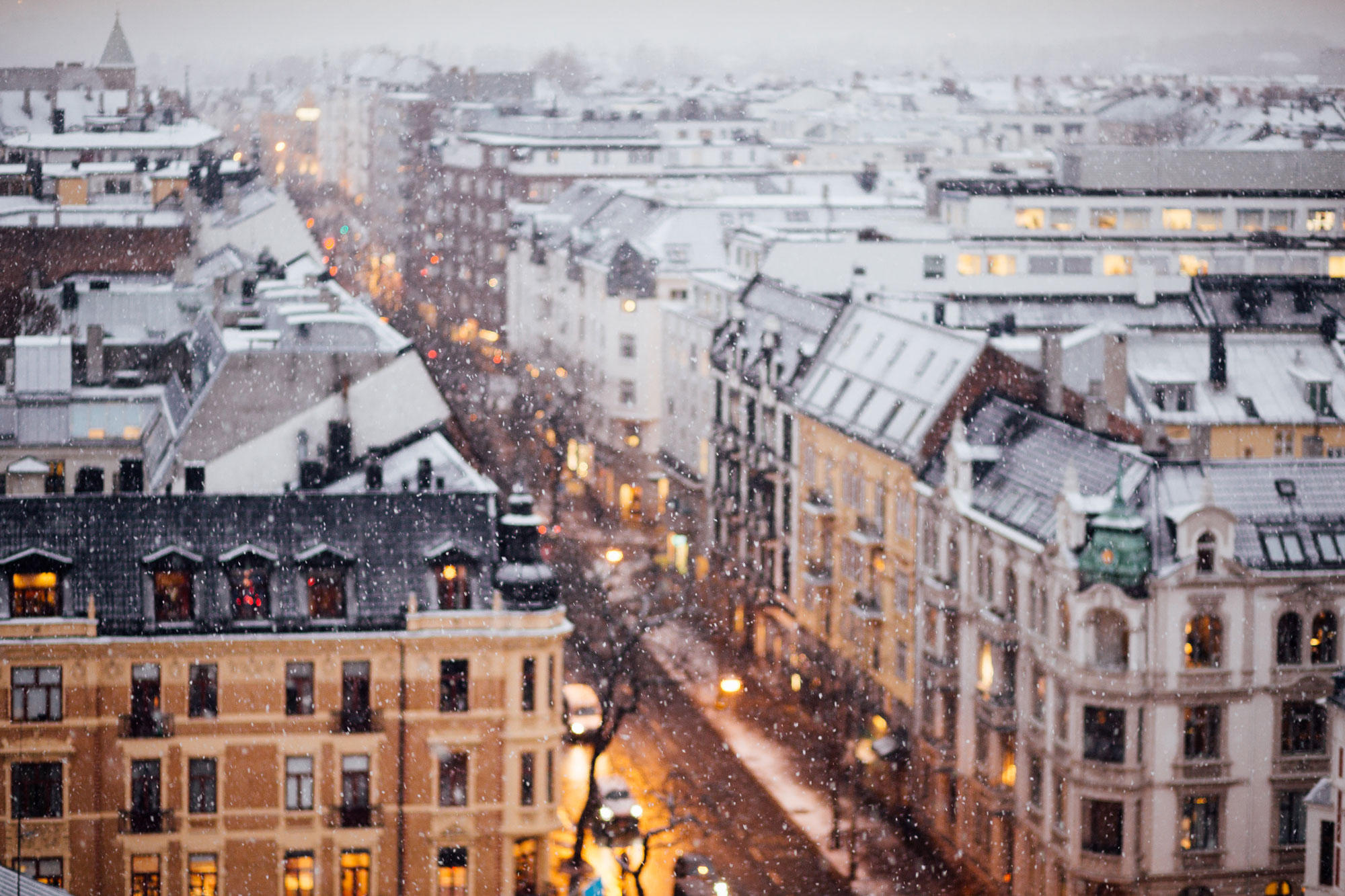 Why Norway may be your kind of study abroad