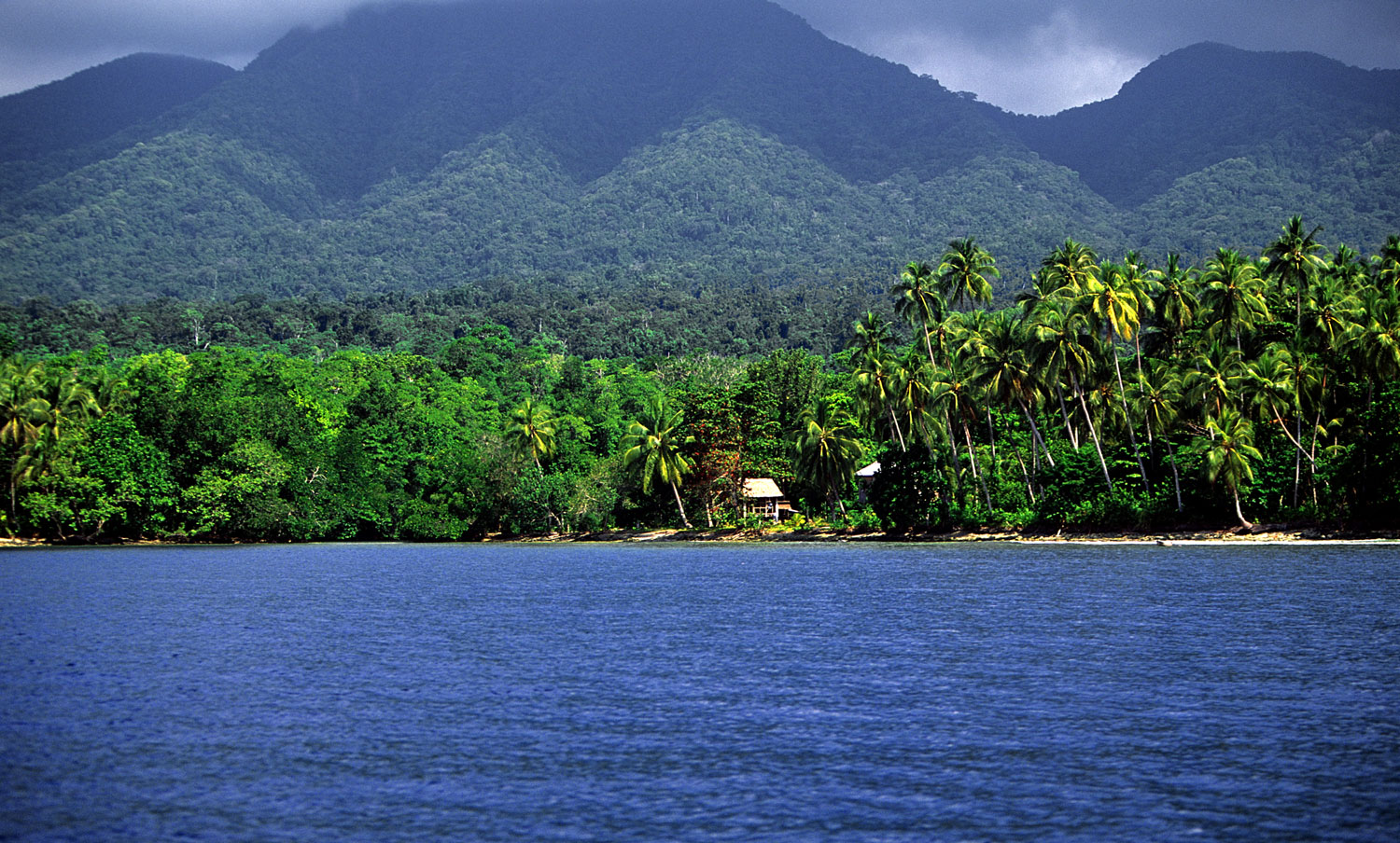 Ocean and jungle scene in the Solomon Islands
