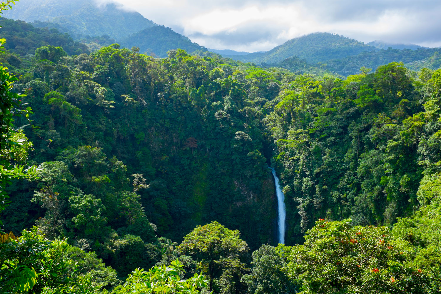 San Luis Waterfall in Monteverde, Costa Rica