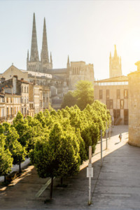 View of Bordeaux street, trees and cathedral 