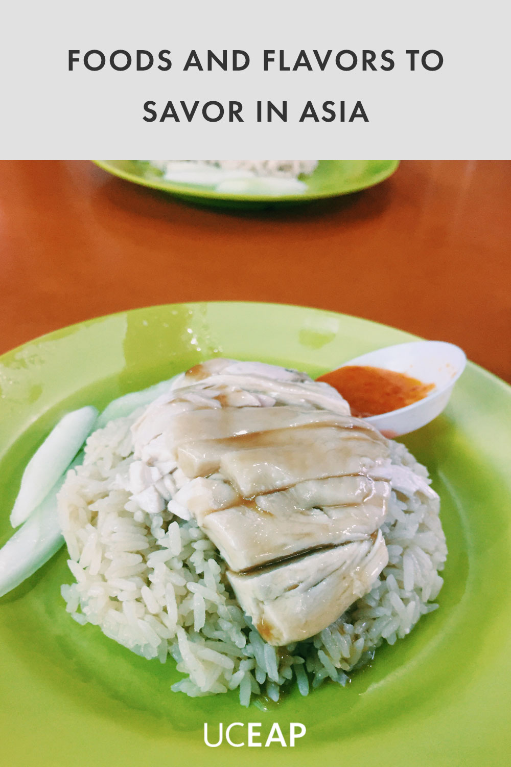 Chicken and rice on a green plate
