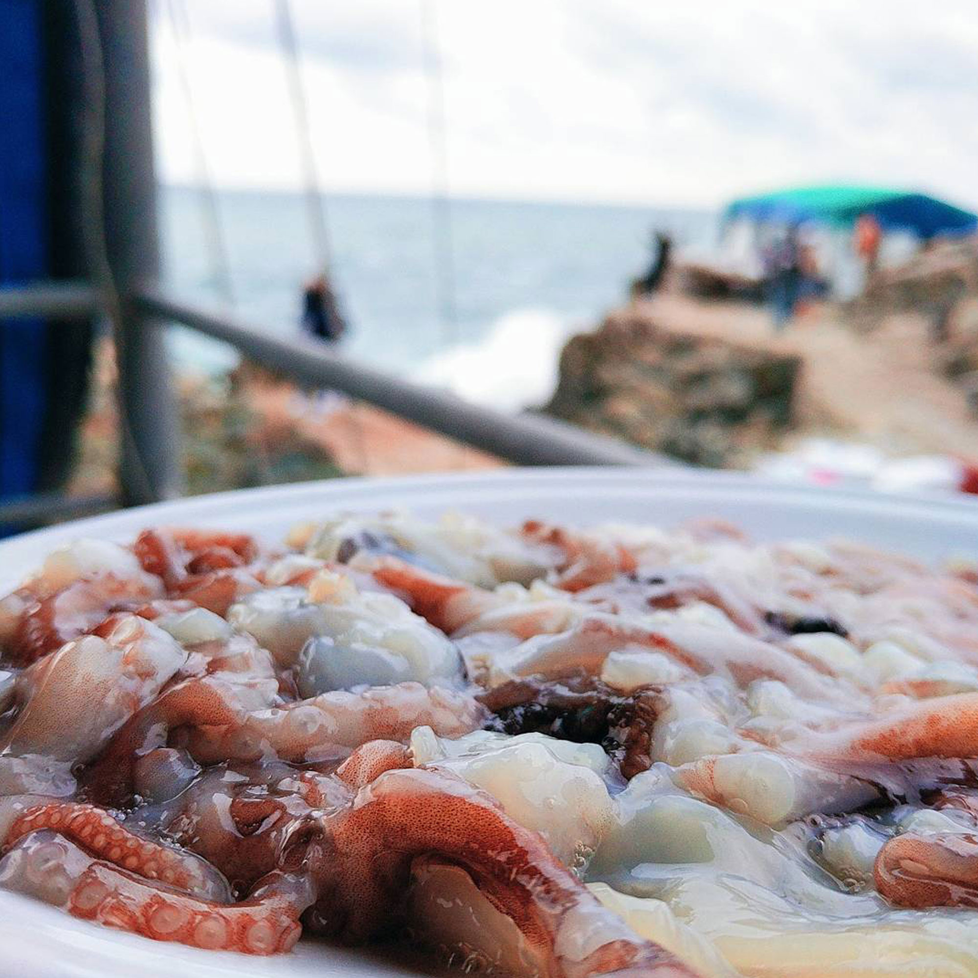 An Octopus with a view of the water in Busan South Korea