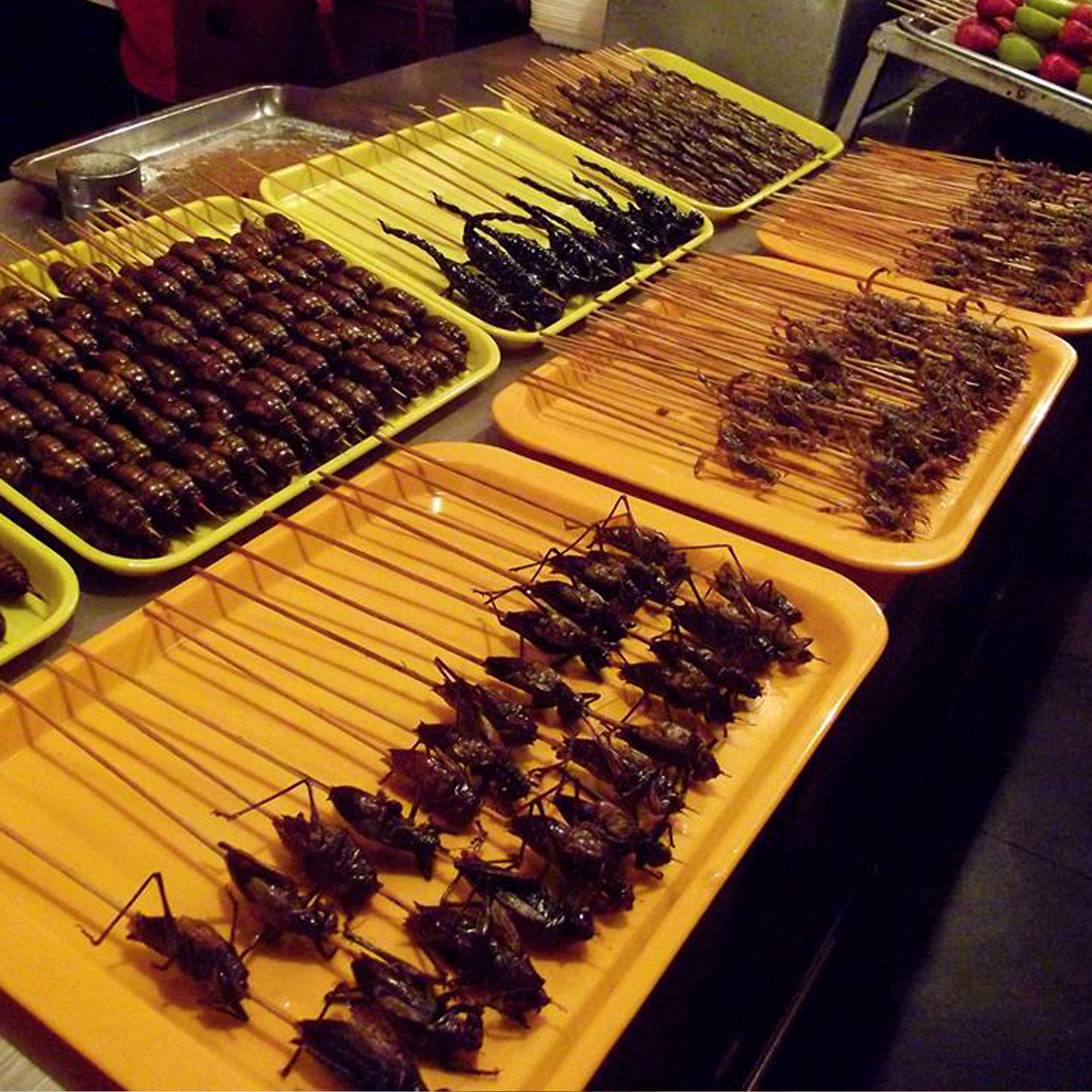 Yellow trays with different types of insects.