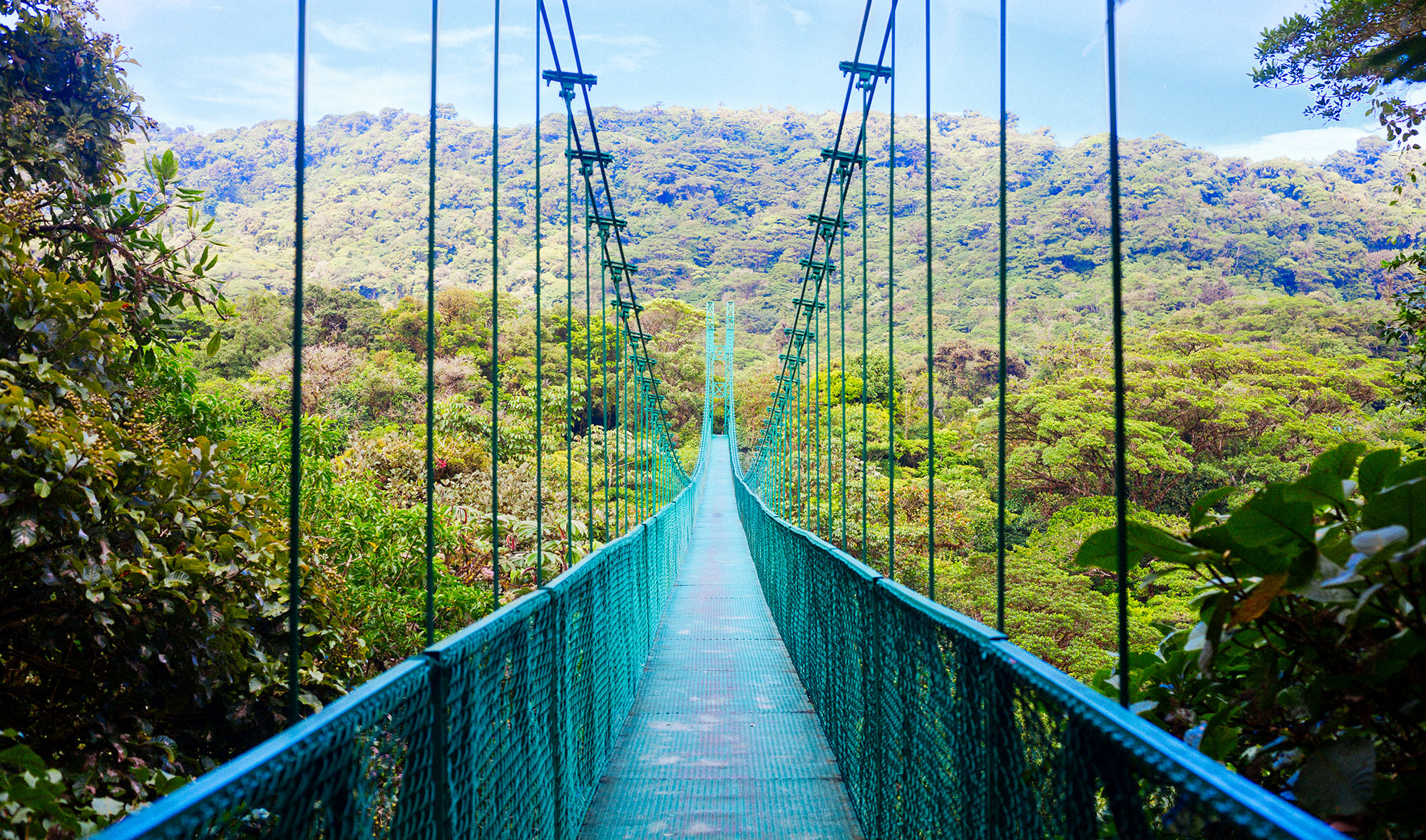 View of pedestrian suspension bridge in the jungle of Costa Rica.