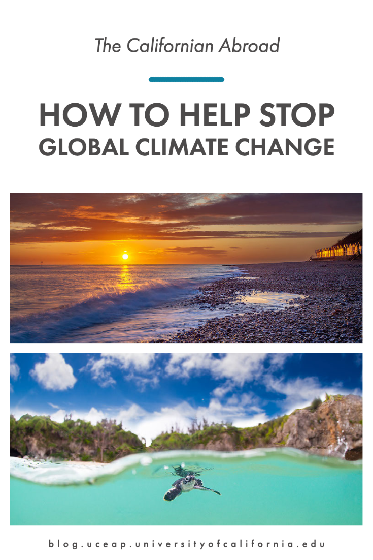 how to stop climate change