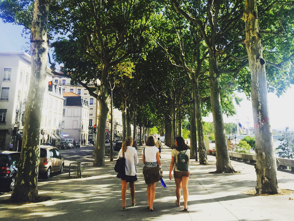 Three friends walking down the street surrounded by trees.