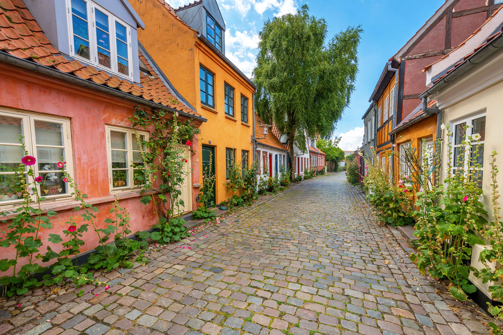 Quiet cobbled side street of brightly painted orange, white, and pink houses in Aarhus, Denmark