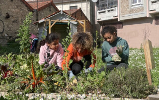 Two young children being shown plants in an urban garden by adult.