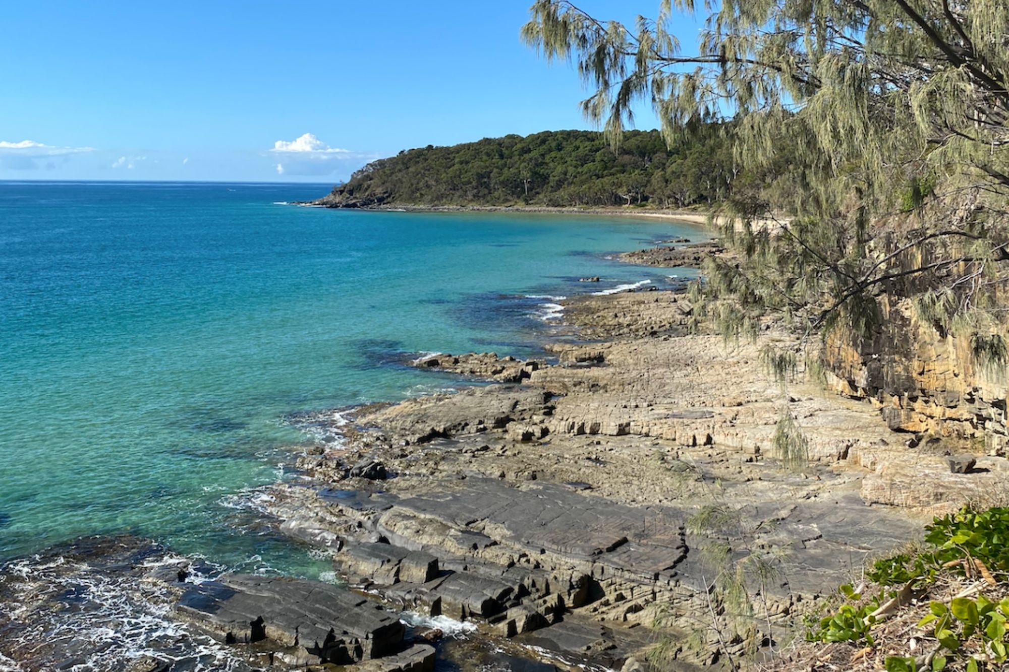 A shot of Australia coastline with forest marsh and rocks surrounding it.