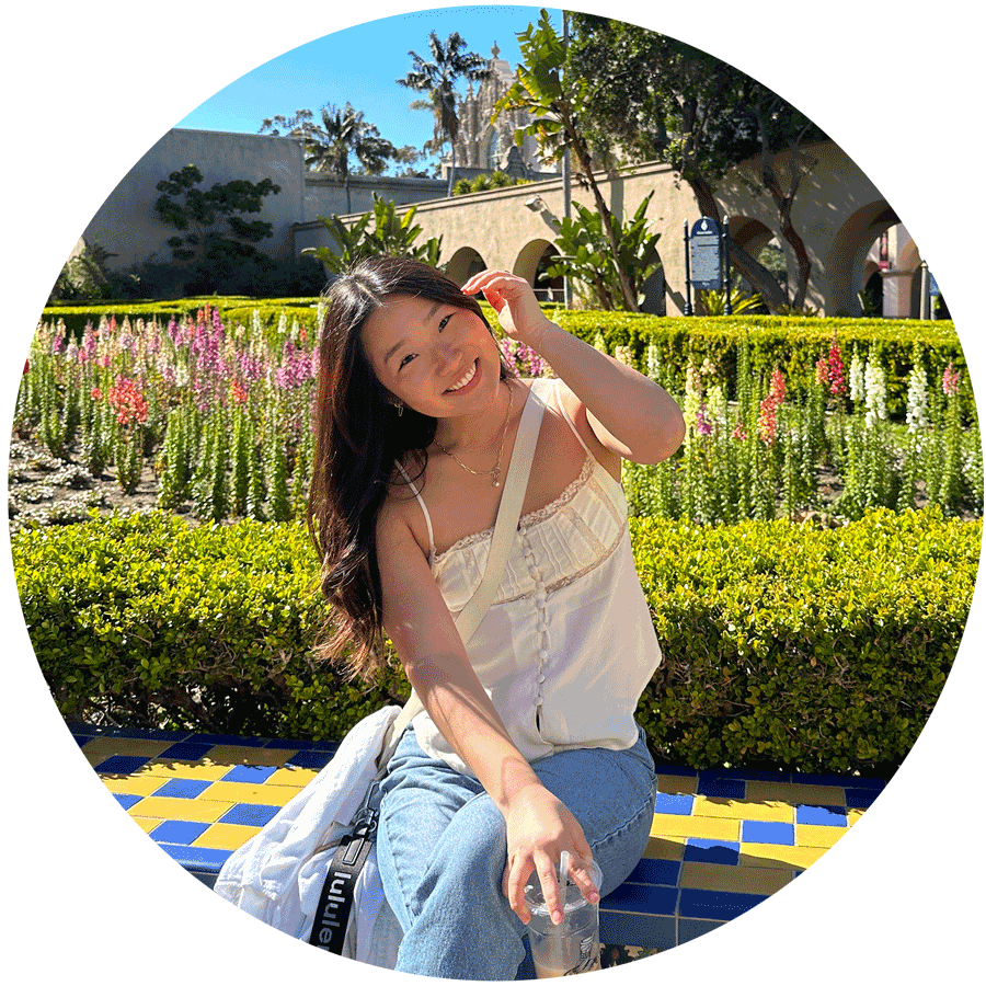 Person sitting on a wall in a colorful flower garden on a sunny day.