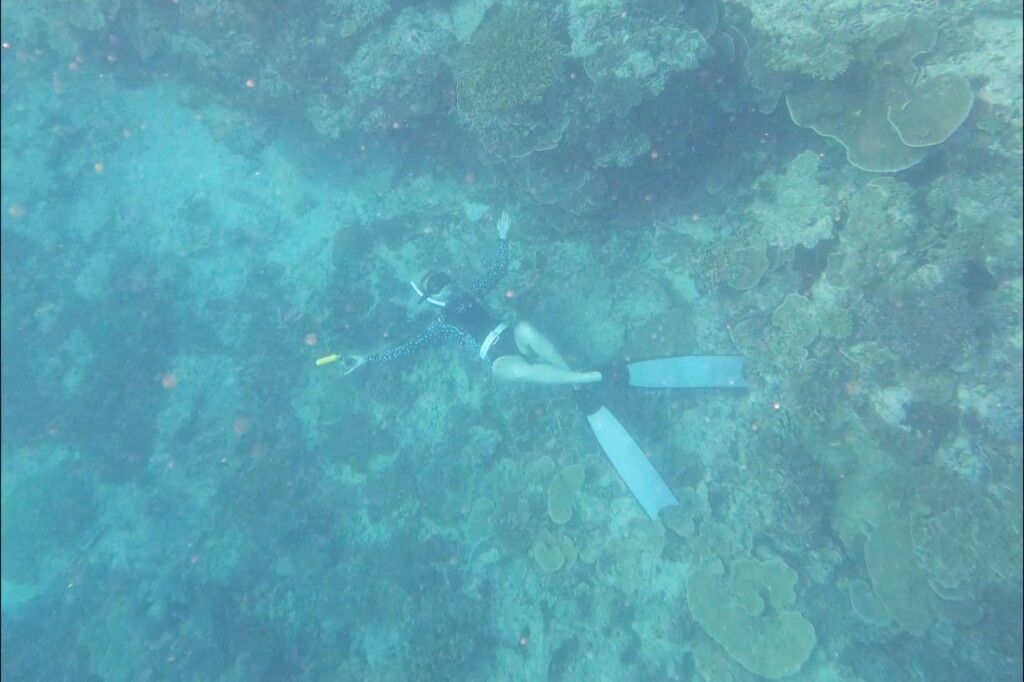 Megan Patton diving the Great Barrier Reef