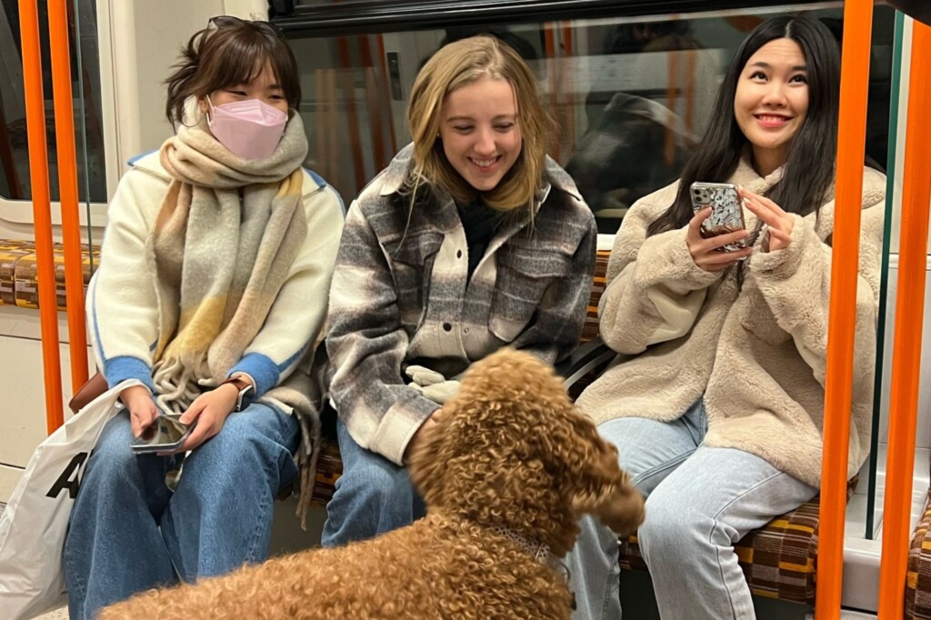 UCEAP students meeting a dog on a train