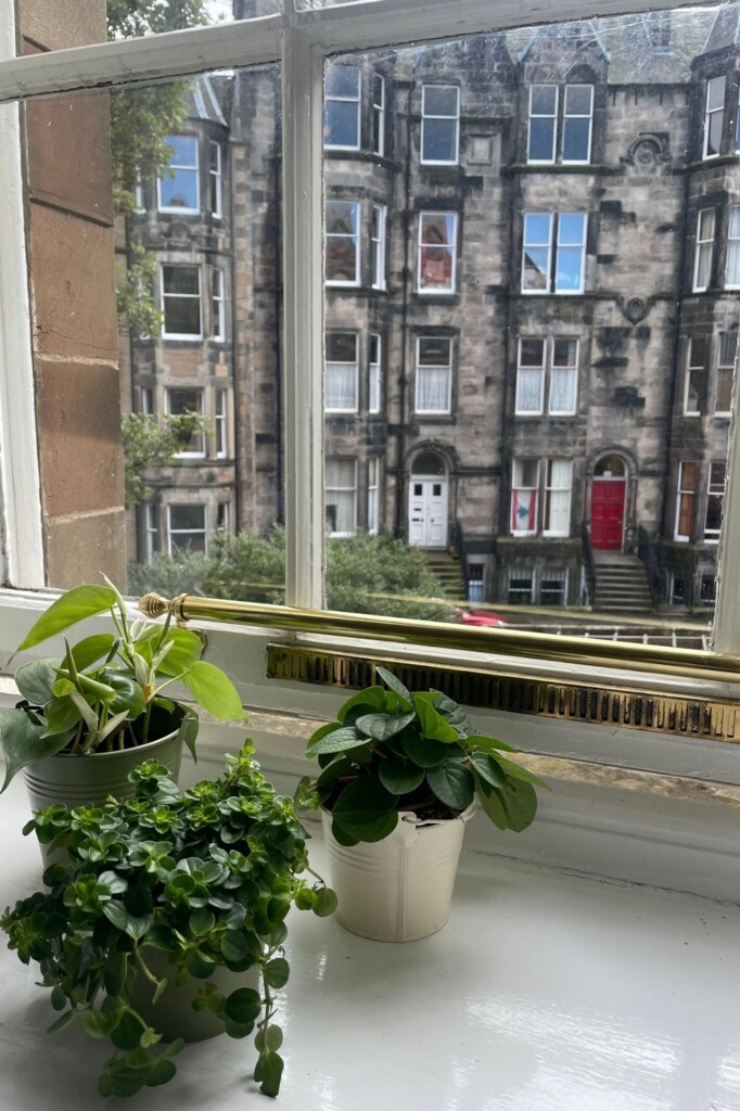 Window of Edinburgh dorms