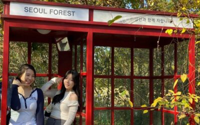 6 Reasons Study Abroad is a Priceless Investment