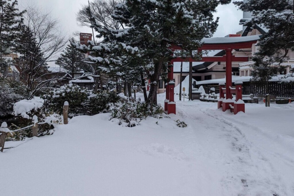 Snow in Tokyo Japan, photo by Shaun Colgedao (UCM)