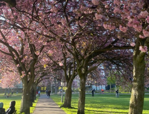 An Introvert’s Guide to Study Abroad