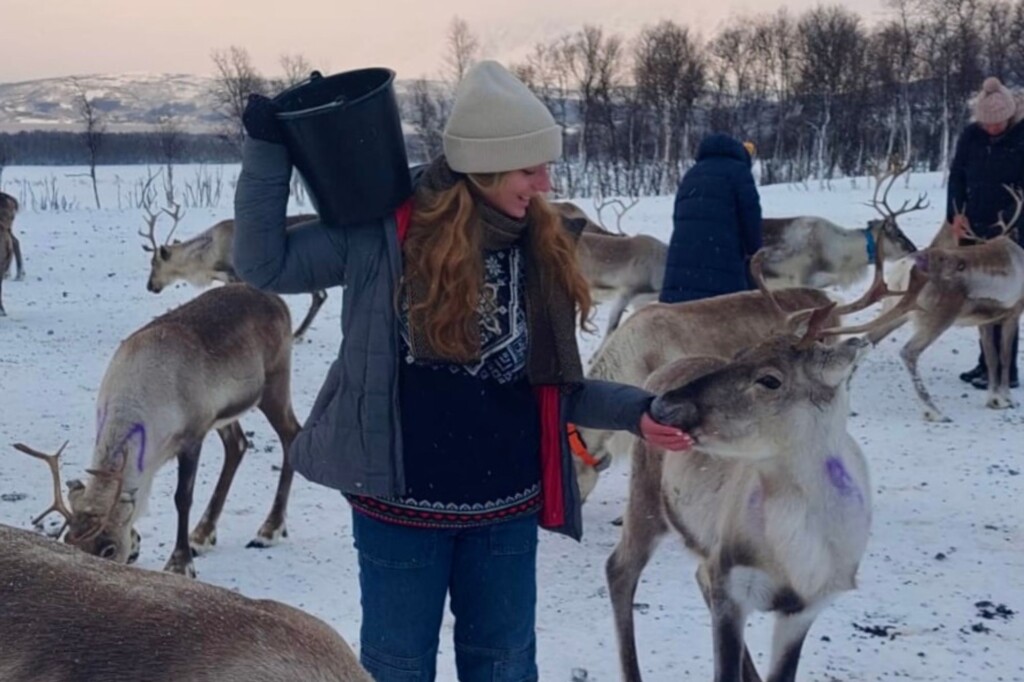 Natalia Hackbarth (UCSD) feeding reindeer in Norway