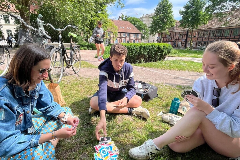 Group of friends playing cards on a lawn in Sweden
