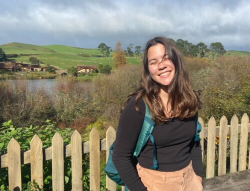 3-minute Travel Guide: Auckland, New Zealand