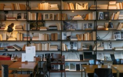All the Things to Learn About Your Academics Abroad