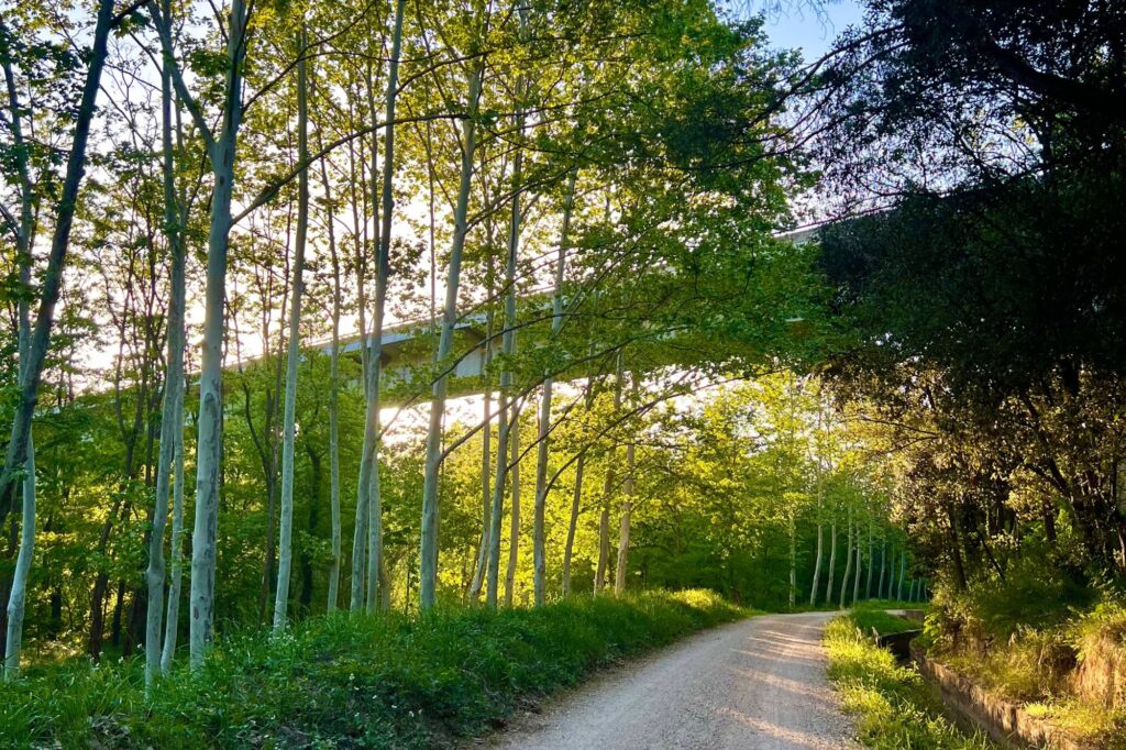 Gravel bicycle trail in Barcelona, Spain