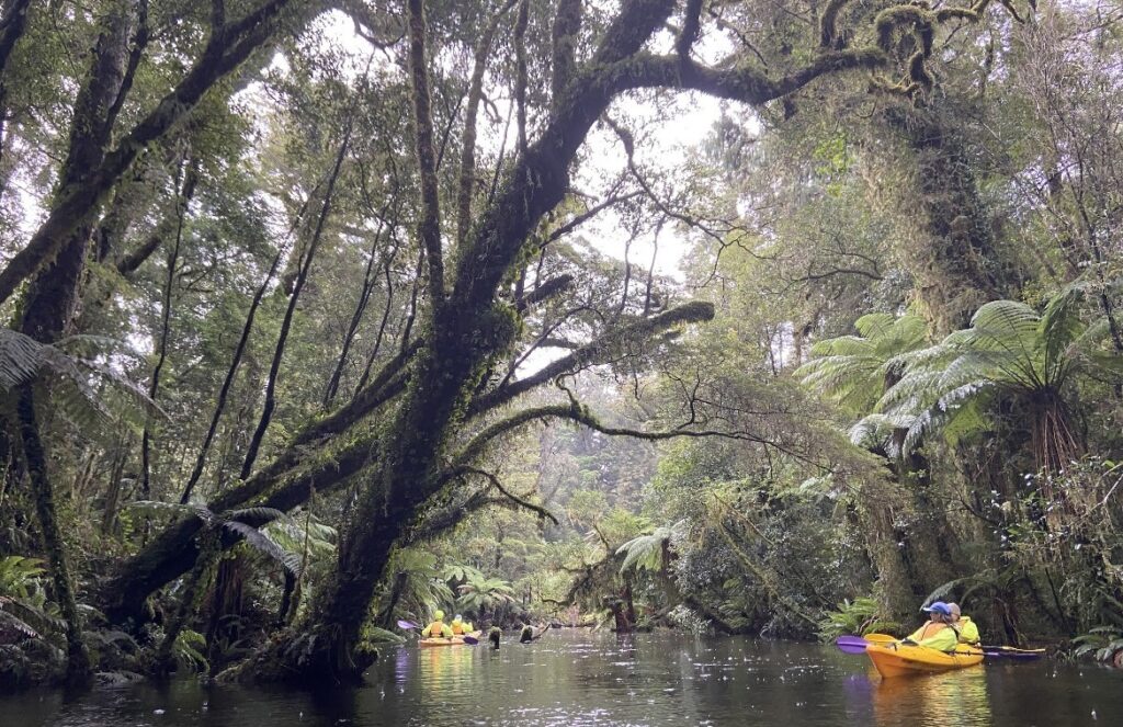 Kayaking in New Zealand