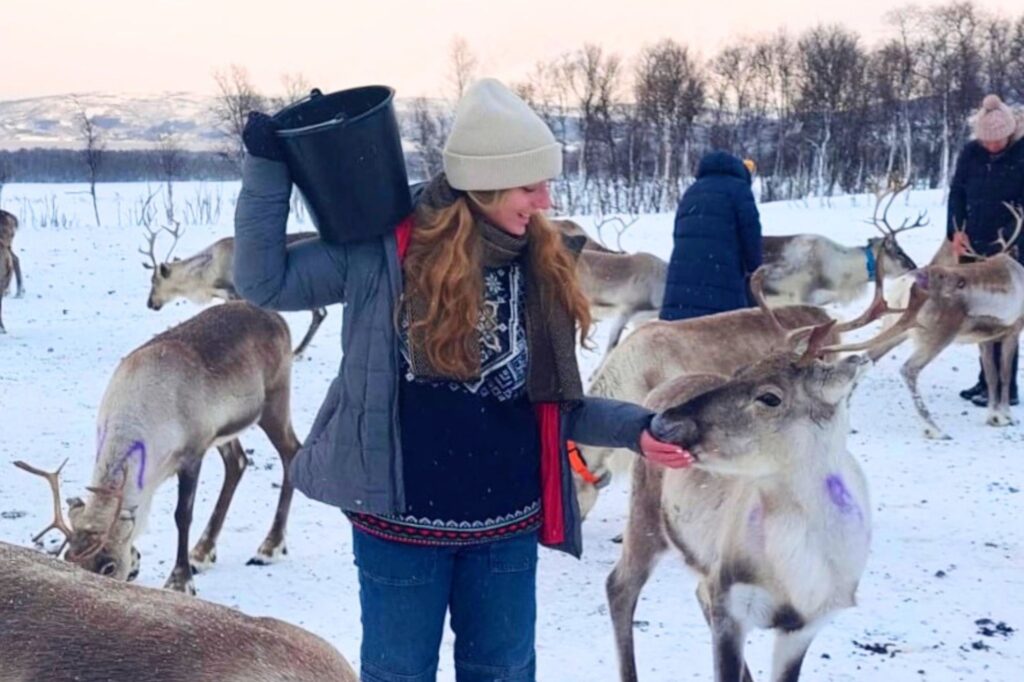Natalia Hackbarth (UC San Diego) feeding reindeer in Norway